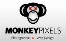 MonkeyPixels-pub-web-250